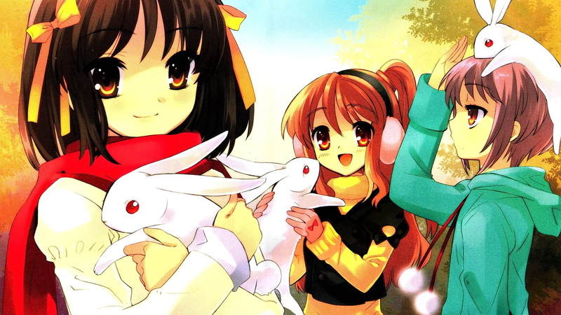 group of people, anime girls, anime, lifestyles, outdoors, short hair, rabbits, Suzumiya Haruhi, people, The Melancholy of Haruhi Suzumiya, female likeness