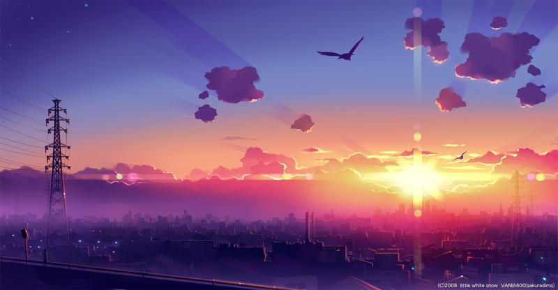 per, city, 720P, hd, x, animals, dawn, Clouds, skyscapes, birds, centimeters, second, art