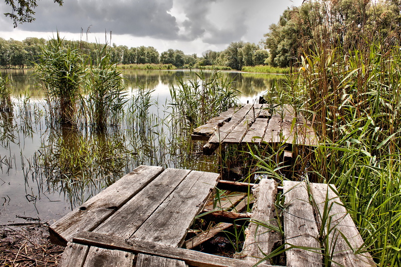 biotope, web, sky, reflection, no people, 4K, morbid, cloud - sky, tranquility, grass, lake, water, nature, plant, outdoors, growth, tree, reed, non-urban scene