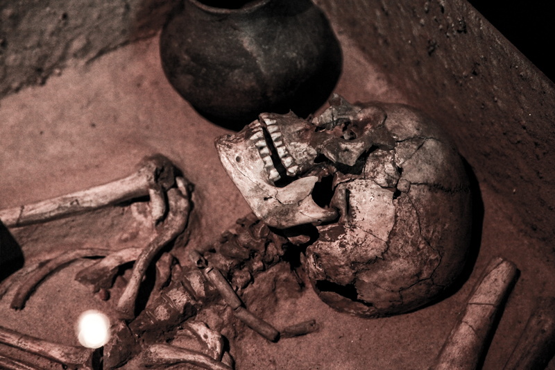close-up, dead, anatomy, weathered, bone, corpse, outdoors, morbid, human, high angle view, Fractured Skull, selective focus, focus on foreground, sculpture