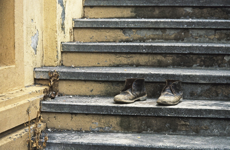 steps and staircases, 4K, old, concrete, morbid, animal themes, domestic, stairs, one animal, architecture, leather, mammal, break up, stair, dirty, feline