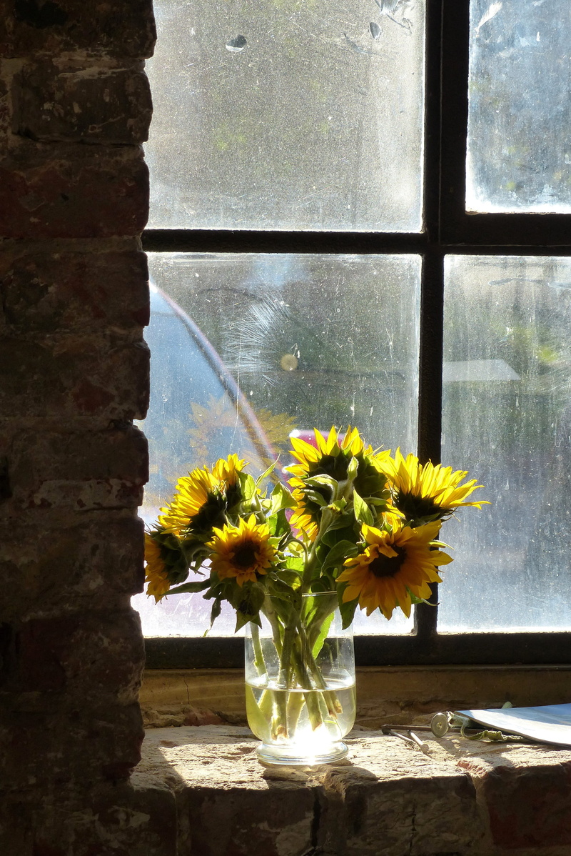 still life, lapsed, flower arrangement, nature, close-up, no people, clear, table, old, brick, yellow, building, window, inflorescence, factory, 4K, flower