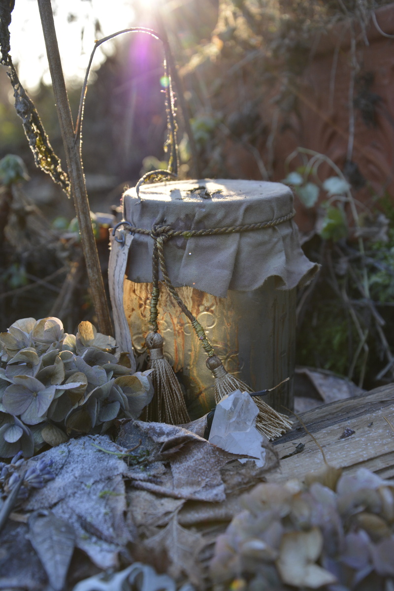 land, selective focus, dry, close-up, food, Winter, Old, sunlight, Glass, field, leaves, wilted flowers, beauty in nature, leaf, no people, food and drink