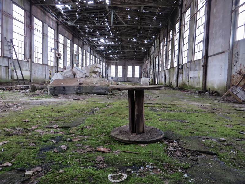 ceiling, architecture, ruined, day, decline, leave, built structure, Factory, Lapsed, morbid, 4K, dirty, Ruin, deterioration, run-down, industry, bad condition
