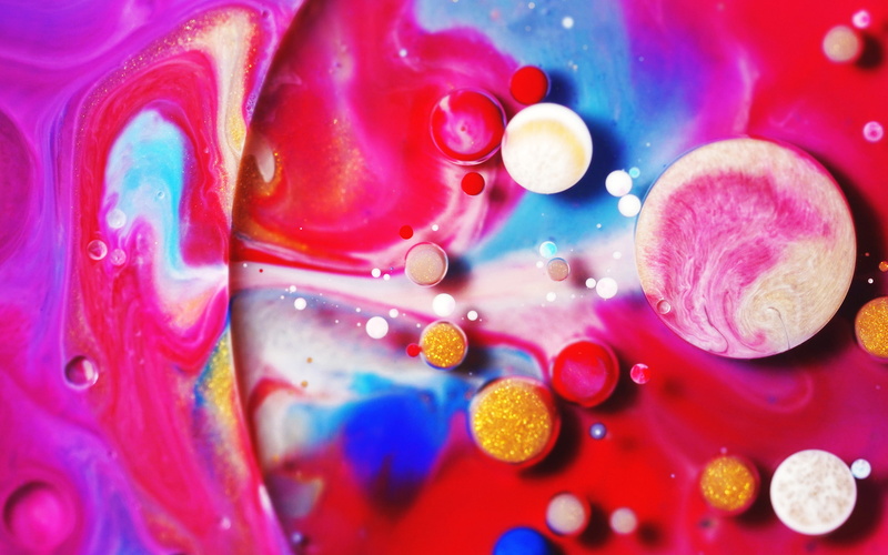 close-up, pink color, geometric shape, multi colored, backgrounds, no people, Spheres, marine, animal themes, indoors, nature, animal wildlife, animal