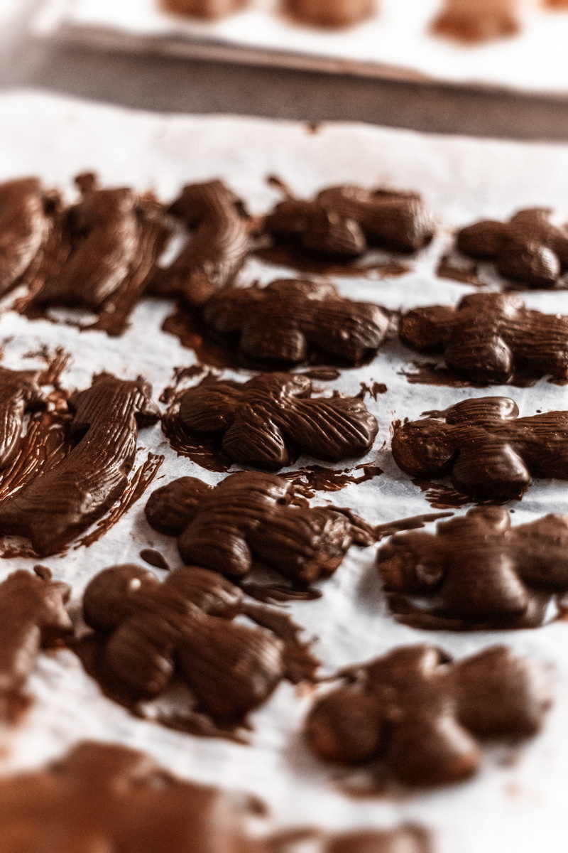 brown, candies, chocolates, sweet food, bakery, cookie, delicious, selective focus, indulgence, chocolate cake, baked, food and drink, temptation, caffeine