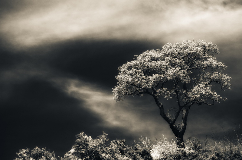 skyscapes, chrome os, art, chrome, games, os, mario, video, dark, 2K, hd, moreno, mario moreno
