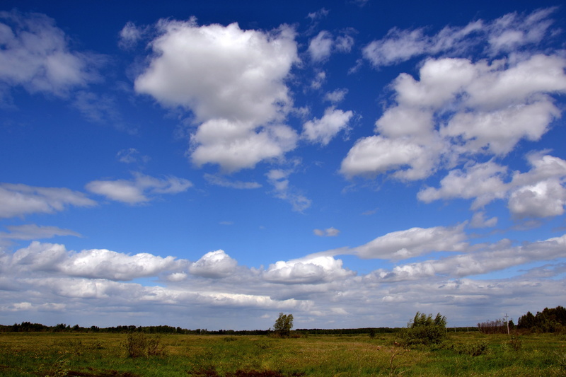 field, rural scene, landscape, cloud - sky, grass, scenics - nature, horizon, tranquil scene, nature, beauty in nature, blue, day, outdoors, land, non-urban scene