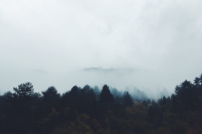 outdoors, plant, away, environment, cloud - sky, cloud, photo, tree, land, no people, trees, woodland, sky, pine woodland, coniferous tree, 4K, non-urban scene