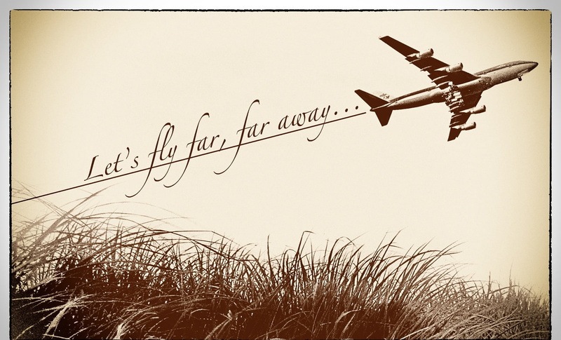 text, communication, Airplane, bird, day, outdoors, fly, art and craft, Travel, plant, nature, low angle view, vertebrate, poster, far away, mid-air, 720P