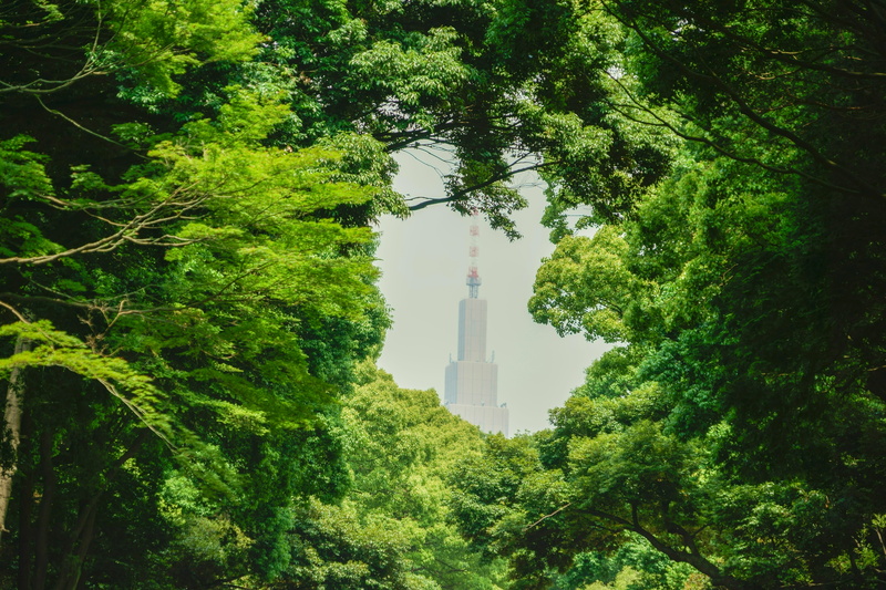 travel destinations, no people, government, architecture, foliage, building, away, green, tree, sky, building exterior, growth, built structure, day, green color