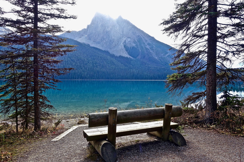 water, cold temperature, beauty in nature, body, mountain, view, mountains, snowcapped mountain, scenics, scenics - nature, idyllic, tranquility, pine