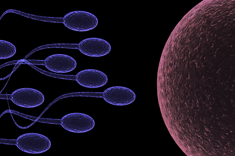 illuminated, life, Medical, astronomy, close-up, Swim, Cell, abstraction, black background, circle, science, sperm, shape, 6000x4000 px, eggs, education