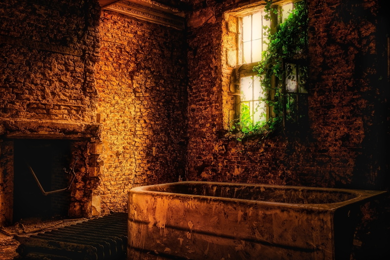 fireplace, atmosphere, window, deterioration, history, old, ivy, obsolete, lost places, indoors, dark, ailing, weathered, damaged, room, the past, dirty