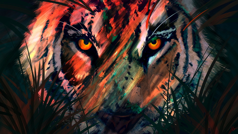 nature, 2K, JoeyJazz, tiger