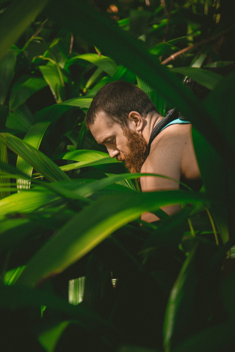 sad, young adult, lifestyles, portrait, land, leaf, looking down, man, beard, guy, leafed, leisure activity, beard model, texture, plant part, one person