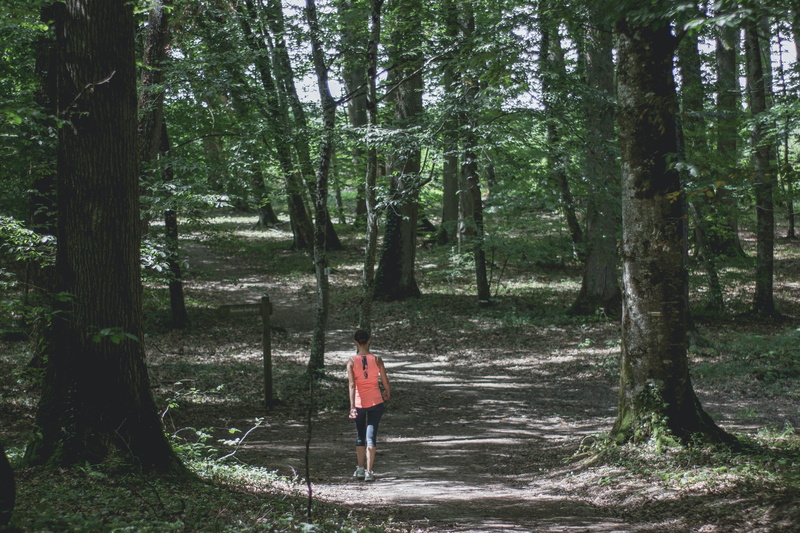 rear view, promenade, beauty in nature, trunk, forest, quinçay, day, one person, tree, tree trunk, france, growth, plant, lifestyles, standing, land, 5K