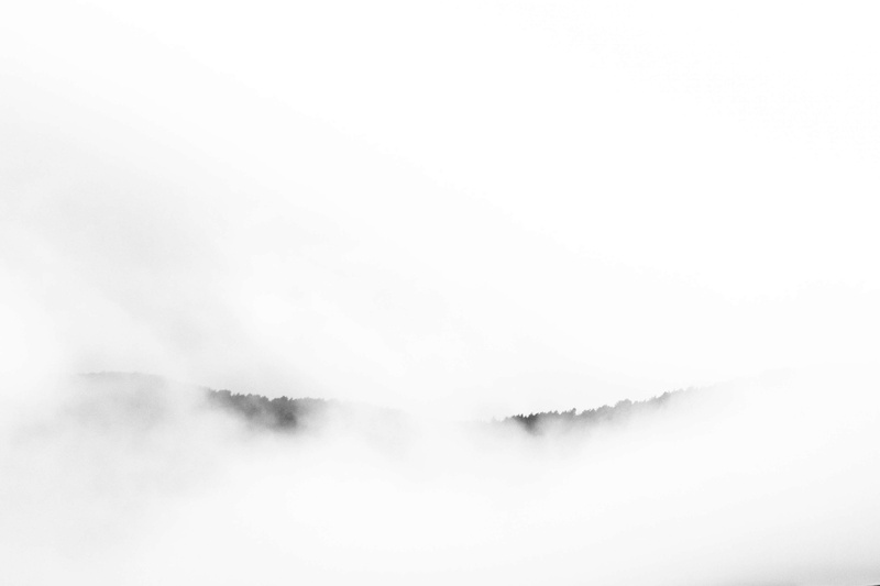 landscape, no people, fog, tranquility, 4K, non-urban scene, white color, trees, autumn, fall, clouds, nature, automne, brouillard, environment, copy space