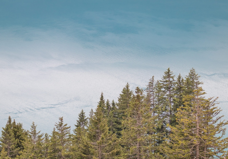5K, nature, green, outdoors, mountain, plant, tranquility, pinaceae, cloud, sky, deep, water, evergreen tree, land, trees, wind, foret, marine, pine tree