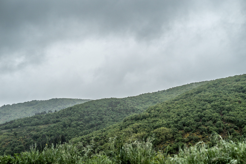 sky, outdoors, nature, cloud - sky, overcast, tree, landscape, non-urban scene, yosemite, tranquil scene, beauty in nature, france, brouillard, growth