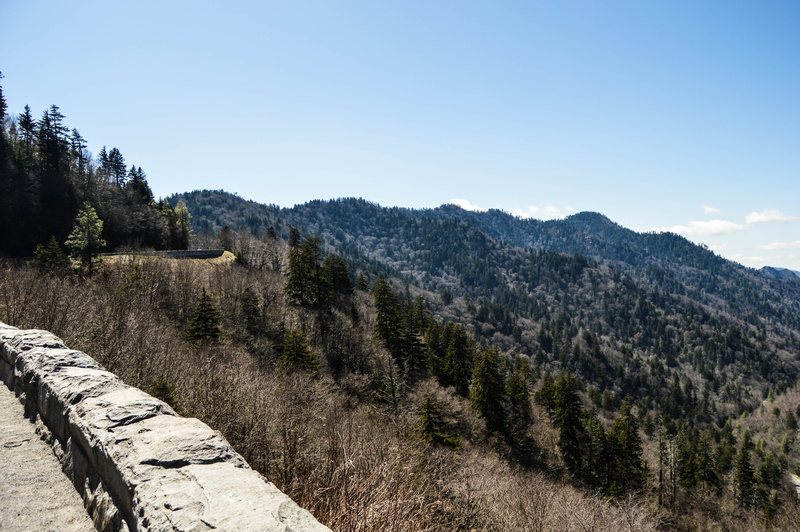 skyline, tranquil scene, great smoky mountains national park, mountain range, no people, tree, beauty in nature, no, mountain, sky, sunlight, trees, scenics - nature