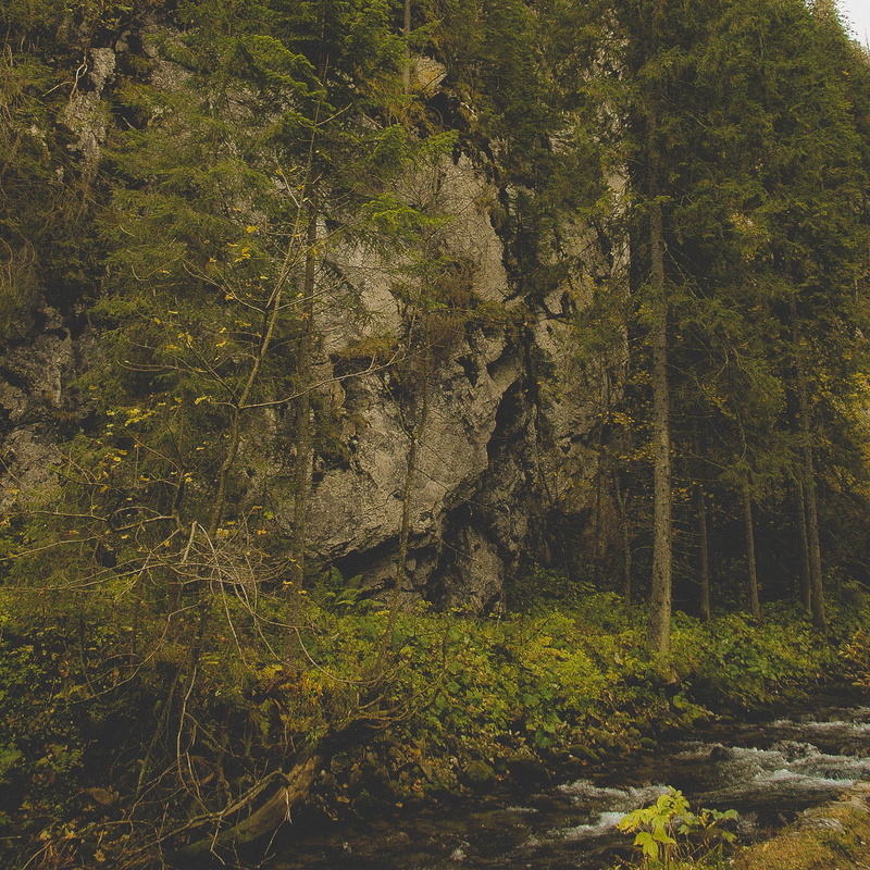 tatry, no people, scenics - nature, solid, growth, tranquil scene, forets, water, beauty in nature, poland, valley, land, autumn, dolina koscieliska, small riverl