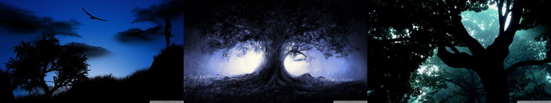 multi, trees, monitor, multiple, 5K, arbres, triple, screen