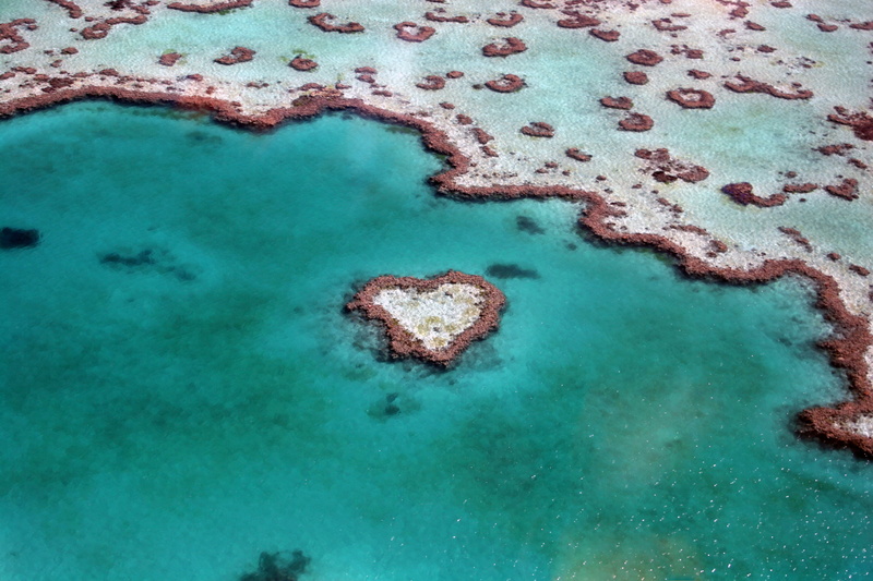 saturated Color, mottled, aerial view, colors, travel destinations, tranquil scene, idyllic, reef, australia, water, body, damaged, watercolor Paints, abstract