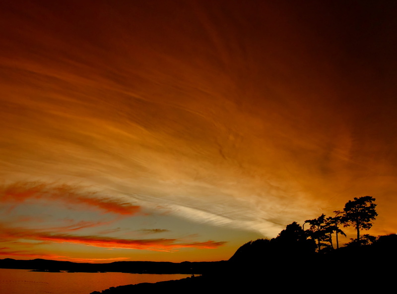 cloud - sky, vertorama, sunset, majestic, beauty in nature, panorama, non-urban scene, tree, saxe, Dome, awe, outdoors, plant, low angle view, Point, no people