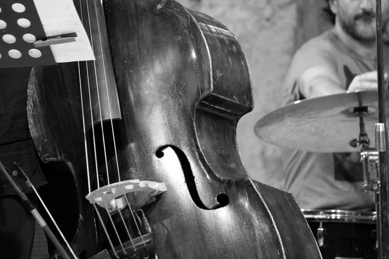 musical instrument, music, artist, focus on foreground, double, skill, brown, occupation, jazz, close-up, men, arts culture and entertainment, concert