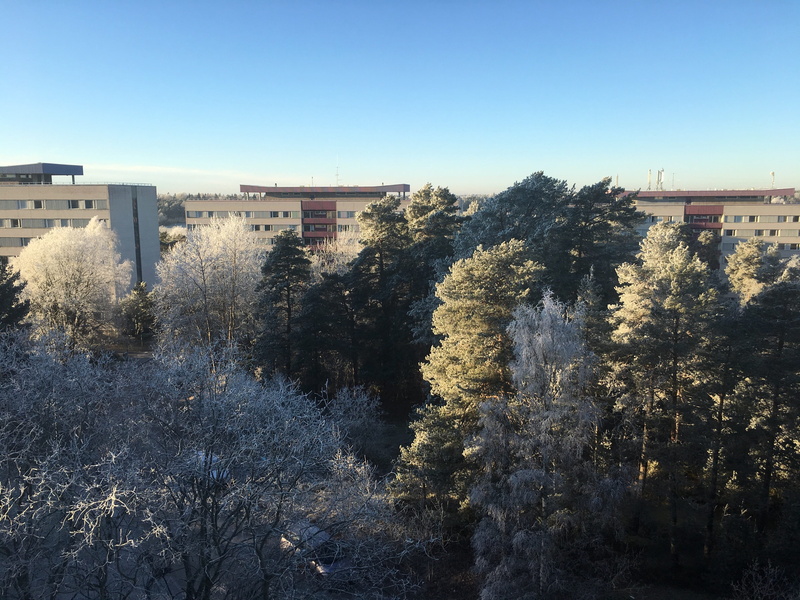 tree, vinter, day, clear sky, landscape, no people, environment, city, blue, uppsala, winter, built structure, house, flogsta, residential district, nature