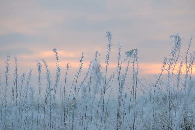 geo:location, mm, snow, winter, iso_speed, cold, sunset, country, ef, geo, focal_length, exif, camera, cold - Temperature, 5K, canon, aperture, white