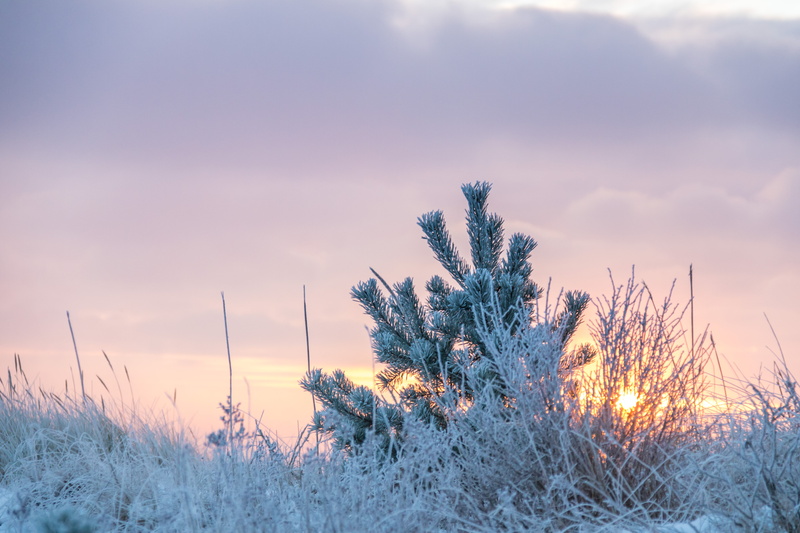 Frost, exif, geo:location, canon eos, sunrise, nature, state, lens, model, ef, 120 mm, geo, focal_length, sunset, rime, cold, sky, meadow, outdoors, ƒ / 5