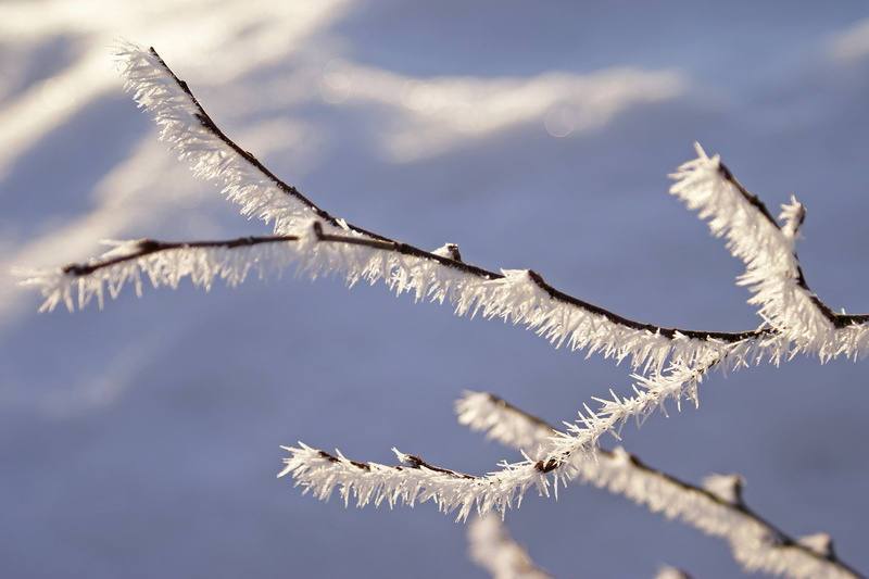Air, rim, vinter, white, frost, blue, Norway, sky, photo, 1080P, tree branch, branch, closeup, tree, nature, winter, outdoors