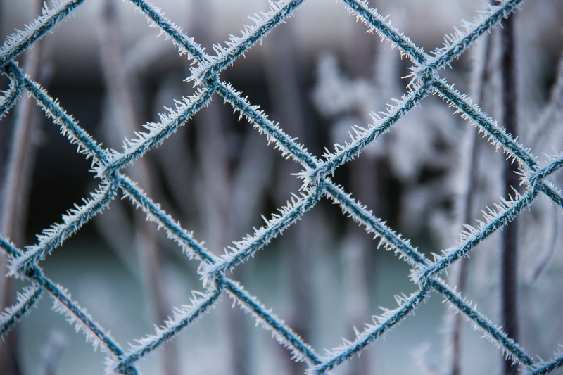 fence, photography, macro photography, prison, metal, frosted, staket, cold, Vinter, Winter, screen, 5K, HFF, macro