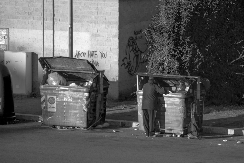 social issues, street, container, bin, man, tree, black and white photo, recycling bin, garbage can, wall - building feature, garbage, hungry
