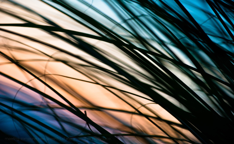 textile, grass, sky, textured, backgrounds, multi colored, protection, t, built structure, day, nature, close-up, yet, met, Love, search, no people, low angle view