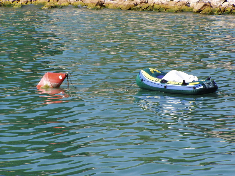 day, moored, lake, mode of transportation, animal wildlife, Inflatable, Sea, boa, outdoors, animal themes, 1080P, Boat, no people, rippled, marina, yet