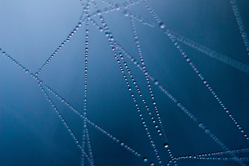 blue, indoors, dark, light, spider, web, water droplet, design, illustration, wet, no people, metal, textured effect, pattern, water, industry, studio shot