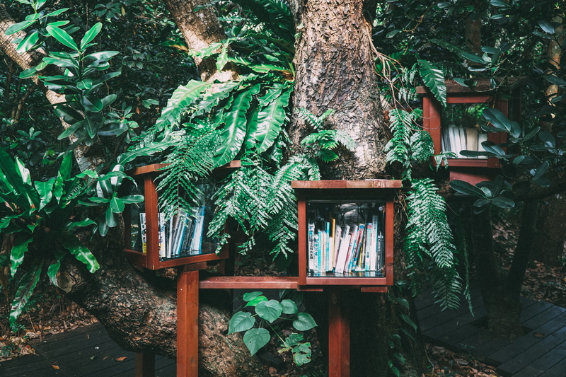 tree trunk, green, day, green color, no people, foliage, wooden, beauty in nature, nature, plant part, bark, plant, building, daytime, forest, brown, books