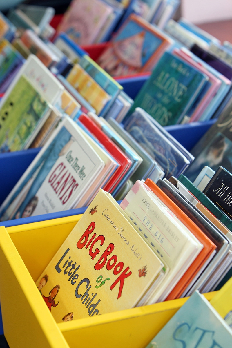 selective focus, assorted, shelves, large group of objects, books, western script, wooden, 2K, variation, communication, children book, learning, high angle view