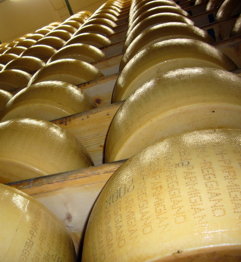 close, mature, eat, italian, parmesan, full frame, milk product, still life, parmesan cheese, gold colored, arrangement, in a row, body, close-up, freshness