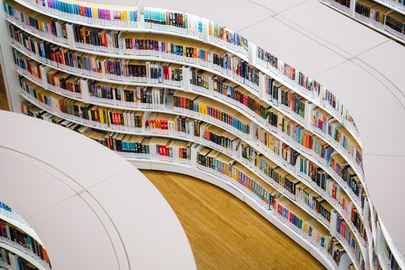 wood, bookshelves, choice, publication, multi colored, literature, curves, book, no people, day, bookshelf, book shelves, shelf, stylish, books, architecture