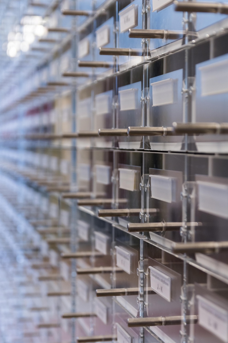 books in the library, large group of objects, library, close-up, book, in a row, 4K, this book is, knowledge, rack, order, industry, food and drink industry
