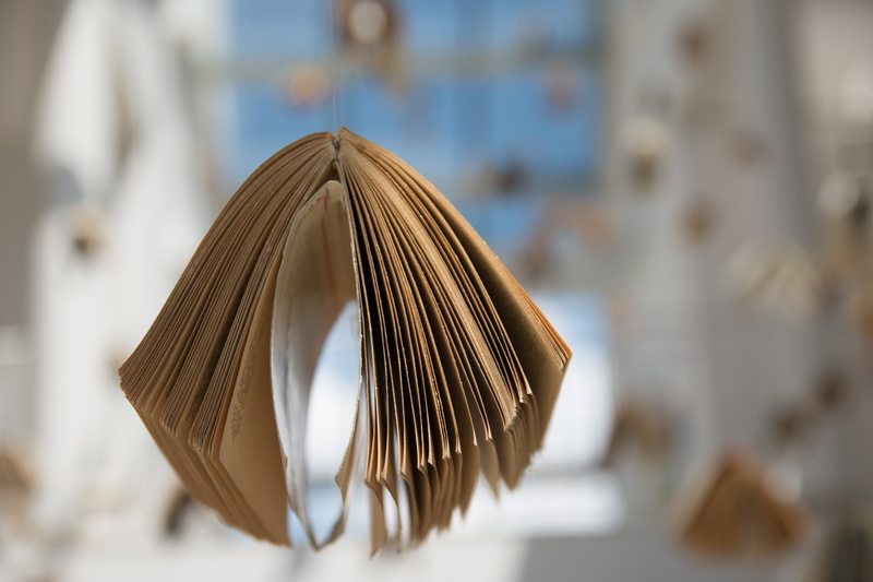 book, selective focus, home, writing, business, kielce, pattern, selective, hanging, zeromski, domestic life, library, copy space, no people, the glass house