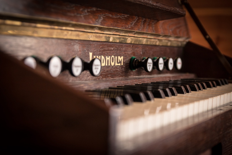 studio shot, indoors, arts culture and entertainment, photography, antique, selective focus, wood - material, classical style, poland, music, kielce, string instrument