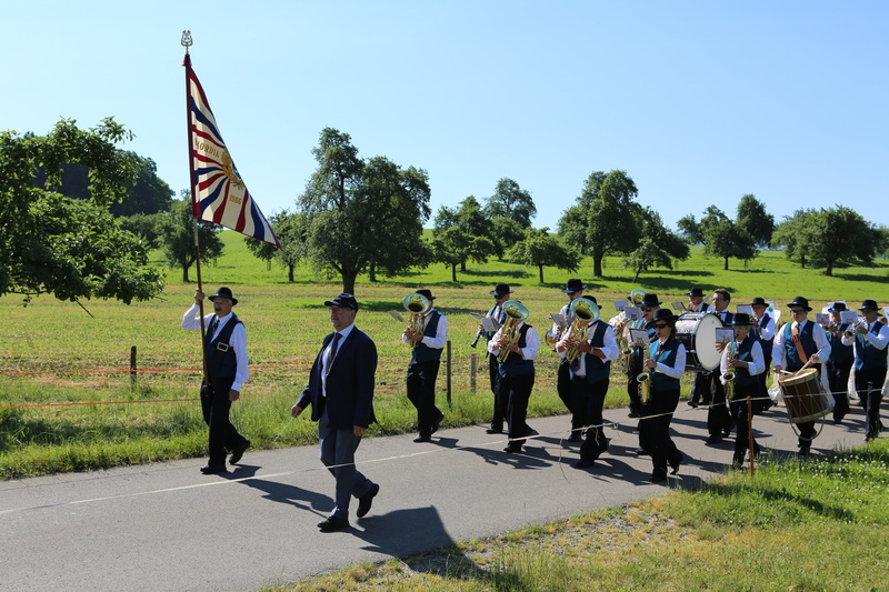 crowd, clothing, plant, large group of people, flag, men, tree, uniform, sunlight, grass, sky, government, procession, pride, adult, real people, 5K, music band