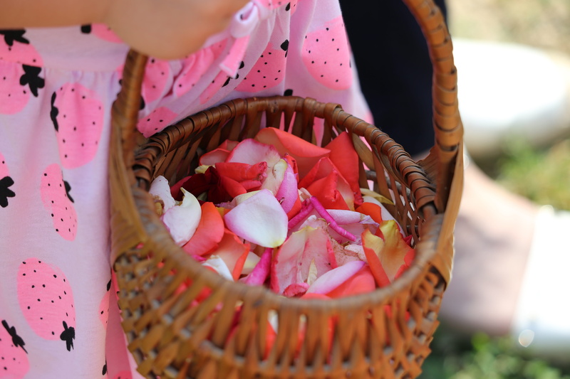 holding, spiritual, food and drink, petal, basket, one person, church, focus on foreground, vulnerability, christian, girl carrying basket, tradition, container