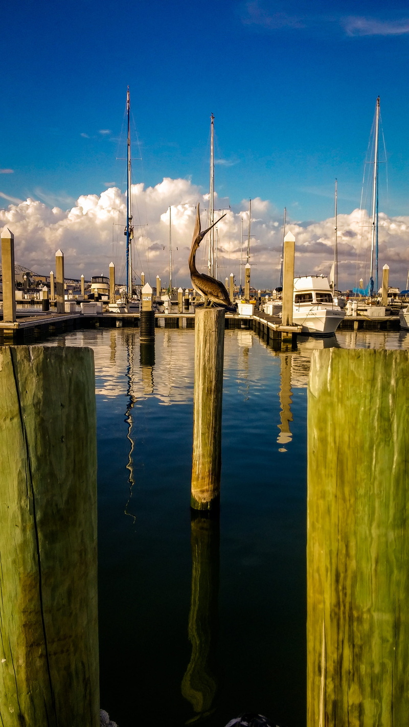 smoke stack, architecture, pole, nature, factory, sky, wooden post, sailboat, pollution, harbor, 67 peoples st t-head, corpus christi, 2K, reflection
