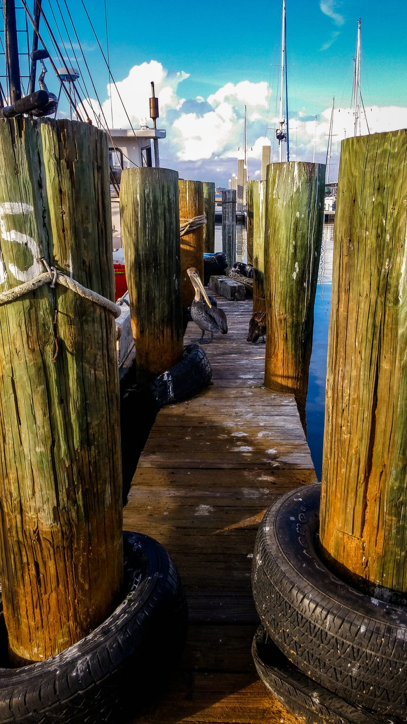 nautical vessel, united states, tire, building, old, wood - material, no people, architecture, cloud - sky, nature, water, peoples saint t-head, day, built structure